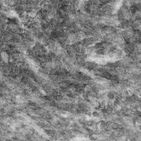 aliveri gray